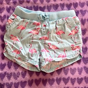 Shorts Toddler Girl Flamingo